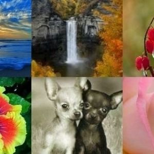 Meet your Posher, Belinda